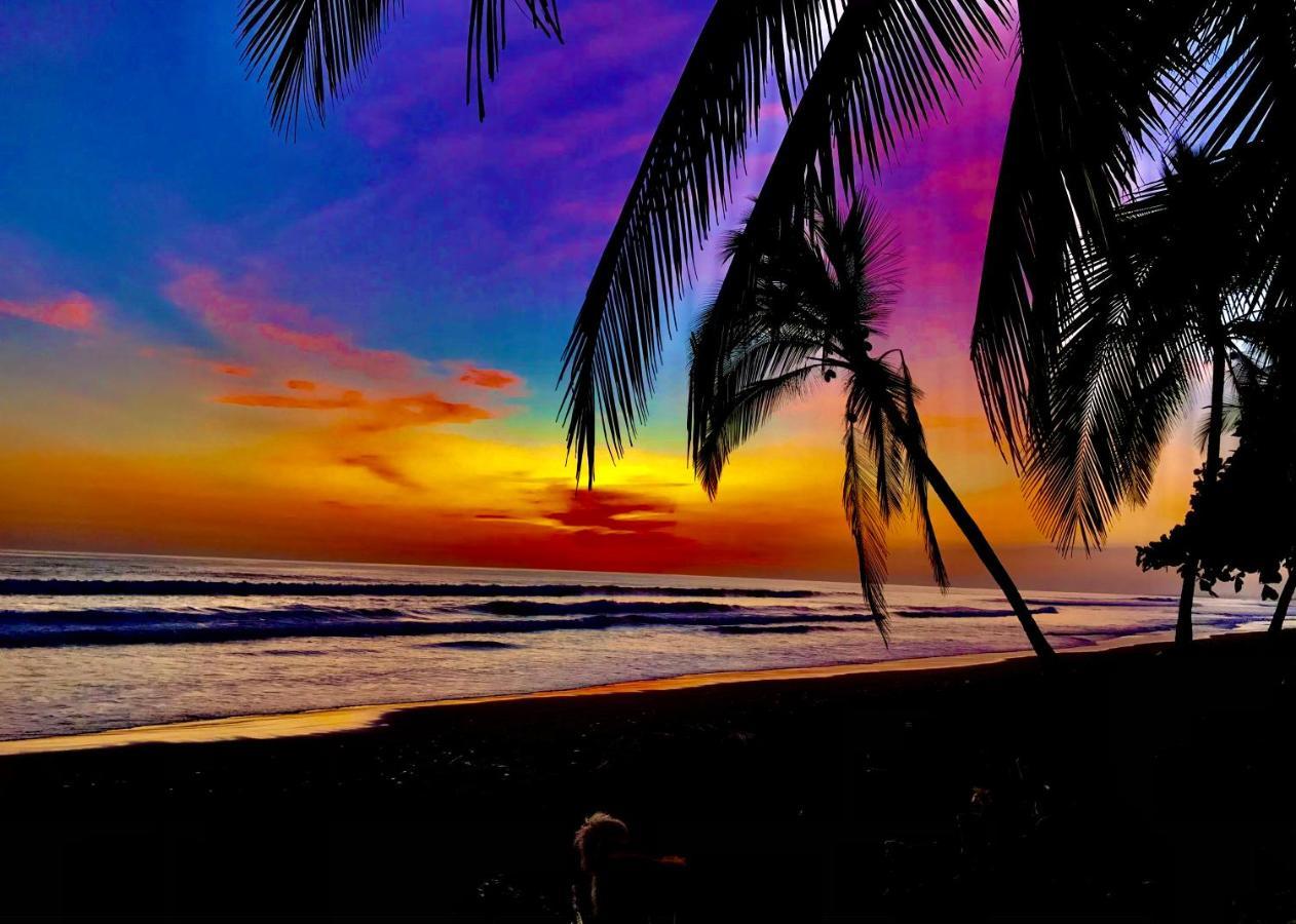 Beachfront Paradise Manuel Antonio Exteriör bild