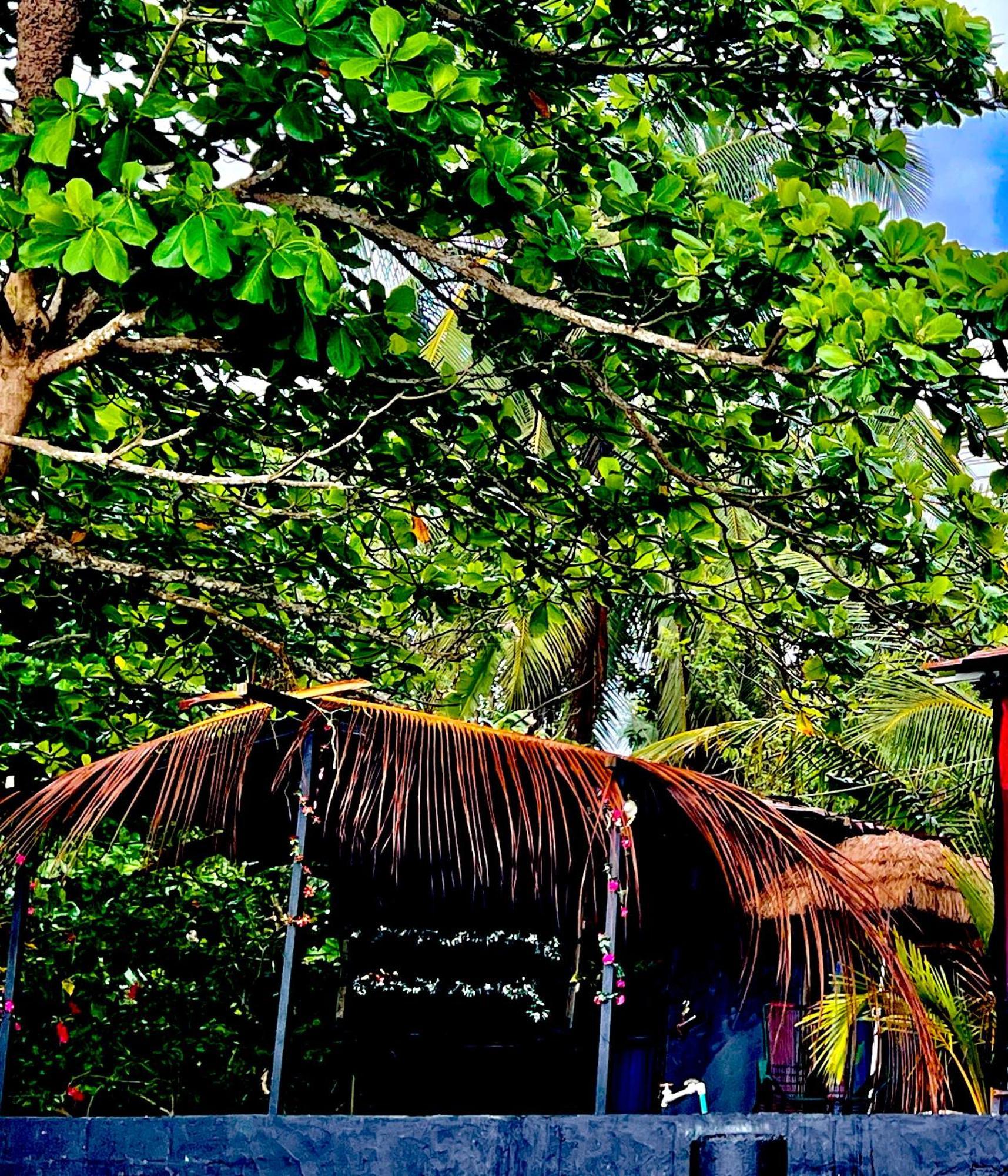 Beachfront Paradise Manuel Antonio Exteriör bild