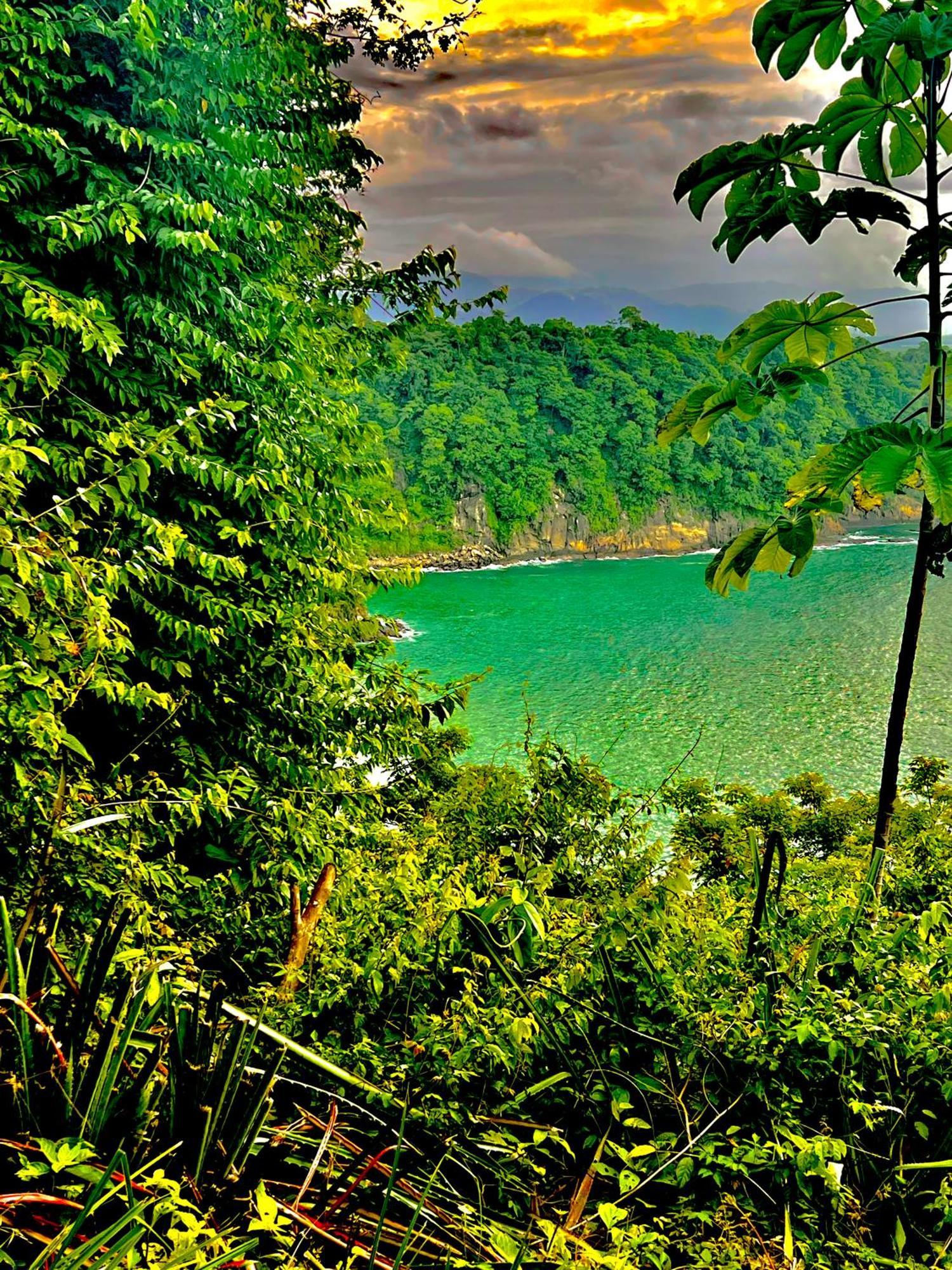 Beachfront Paradise Manuel Antonio Exteriör bild