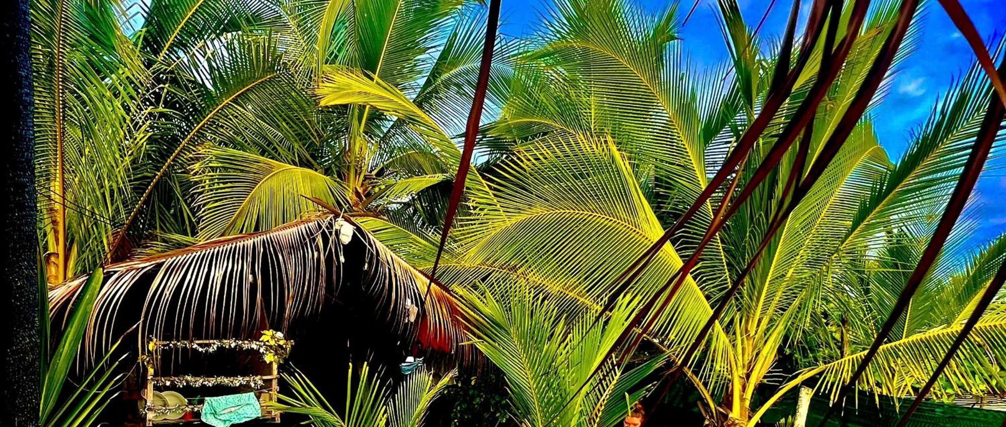 Beachfront Paradise Manuel Antonio Exteriör bild