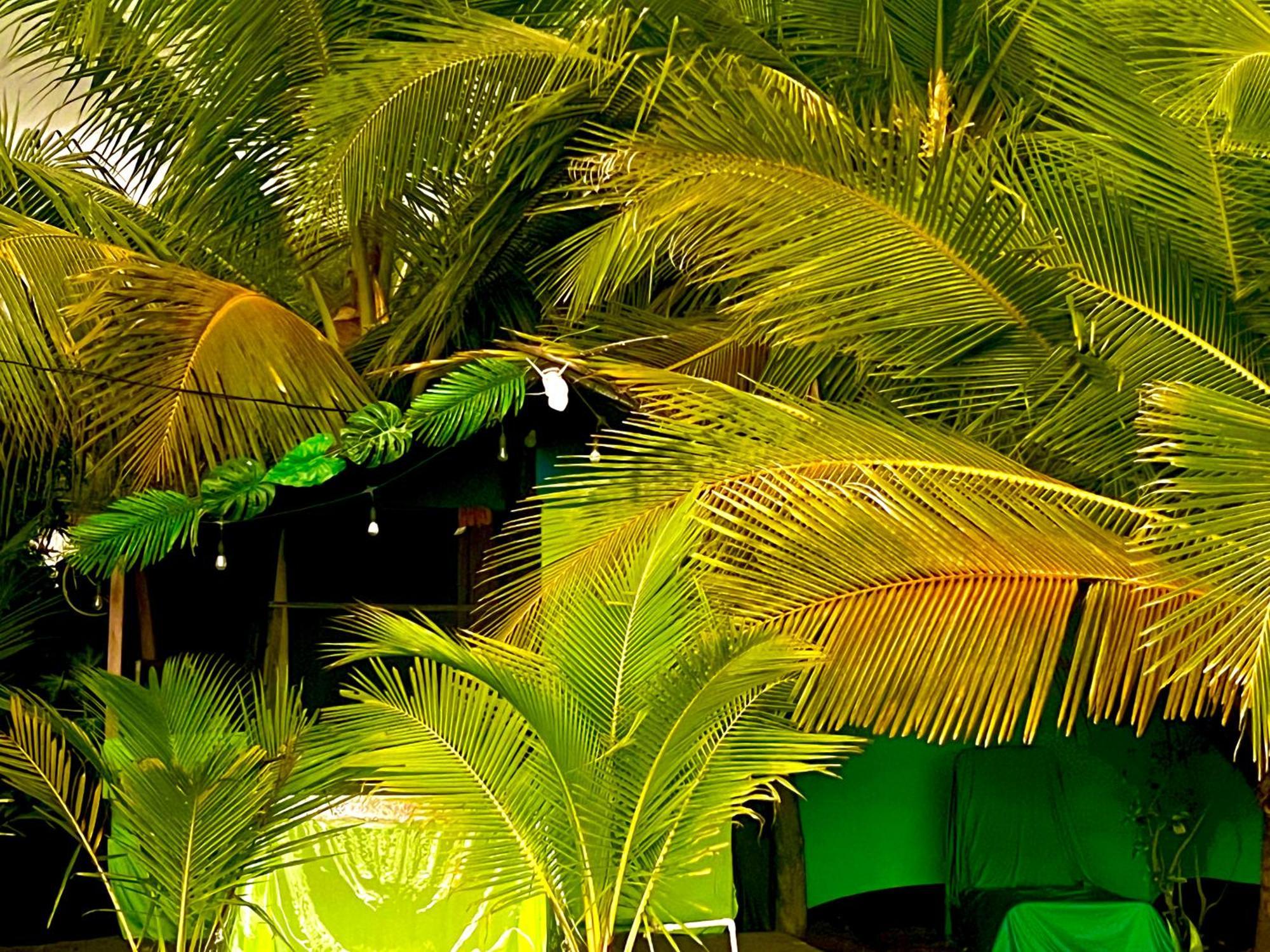 Beachfront Paradise Manuel Antonio Exteriör bild