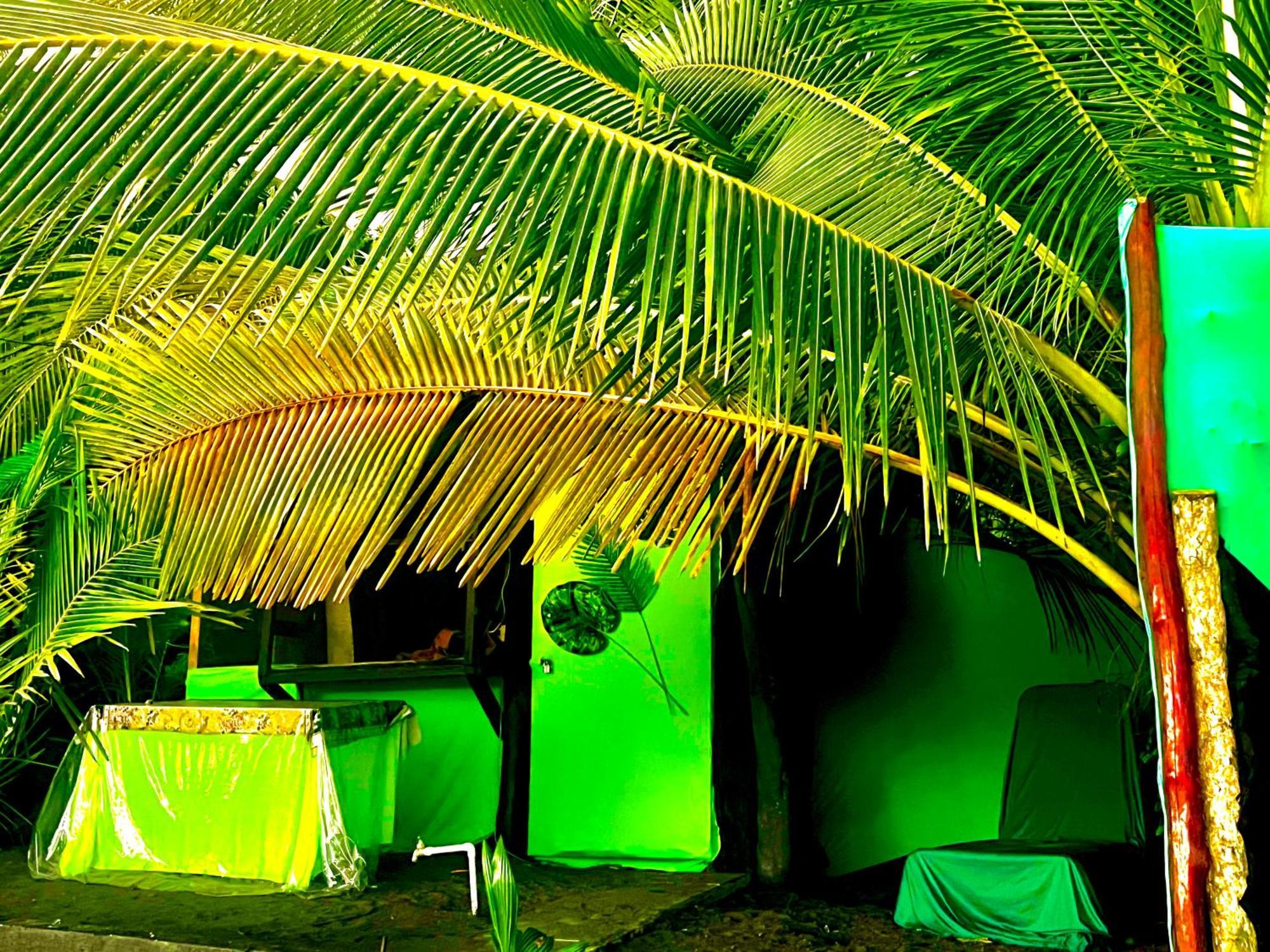 Beachfront Paradise Manuel Antonio Exteriör bild