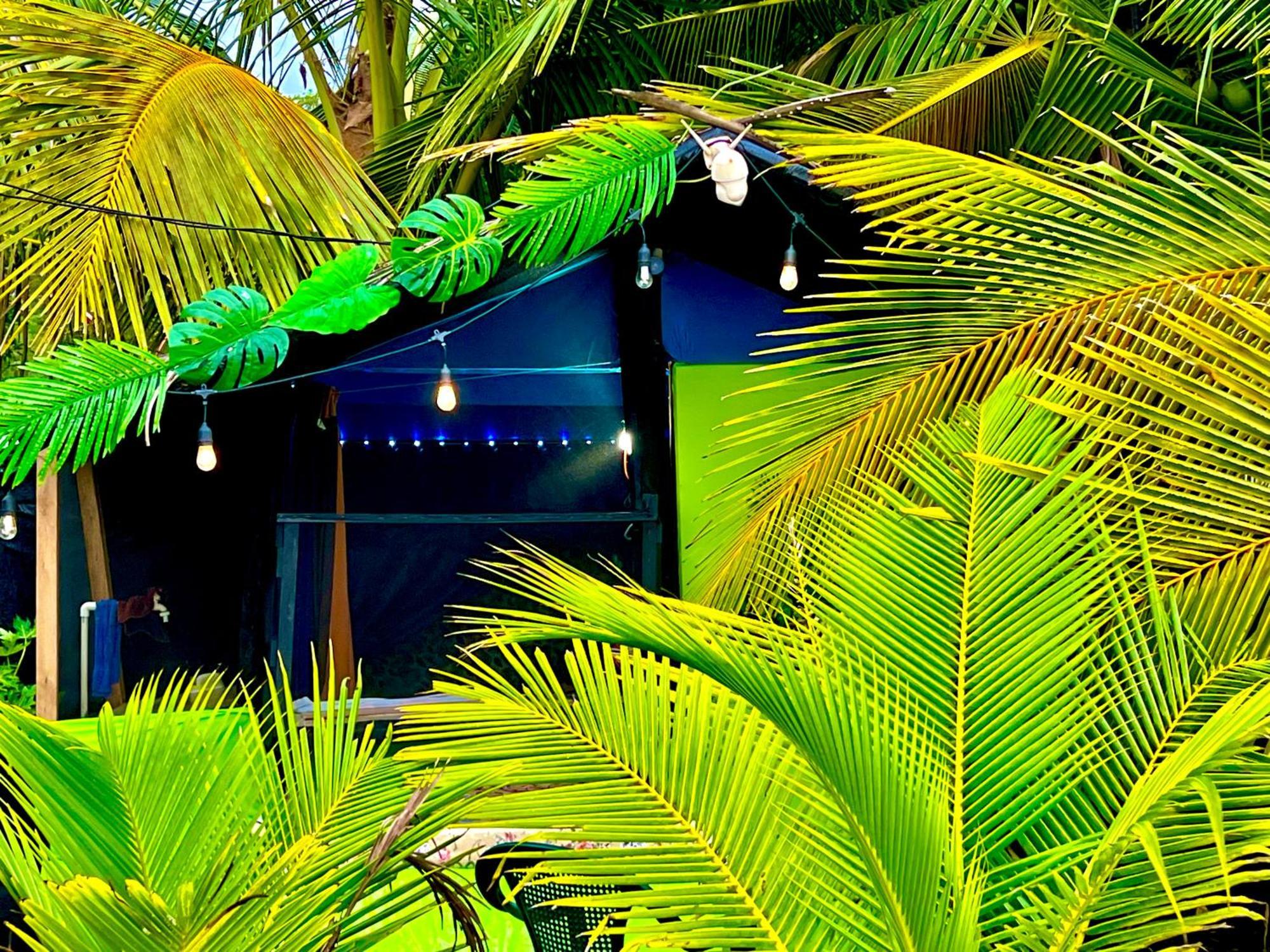 Beachfront Paradise Manuel Antonio Exteriör bild